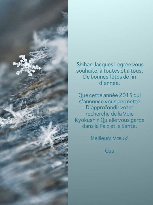 Voeux 2015 de shihan Jacques LEGREE