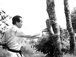 Masutatsu Oyama s'entrainant sur un makiwara