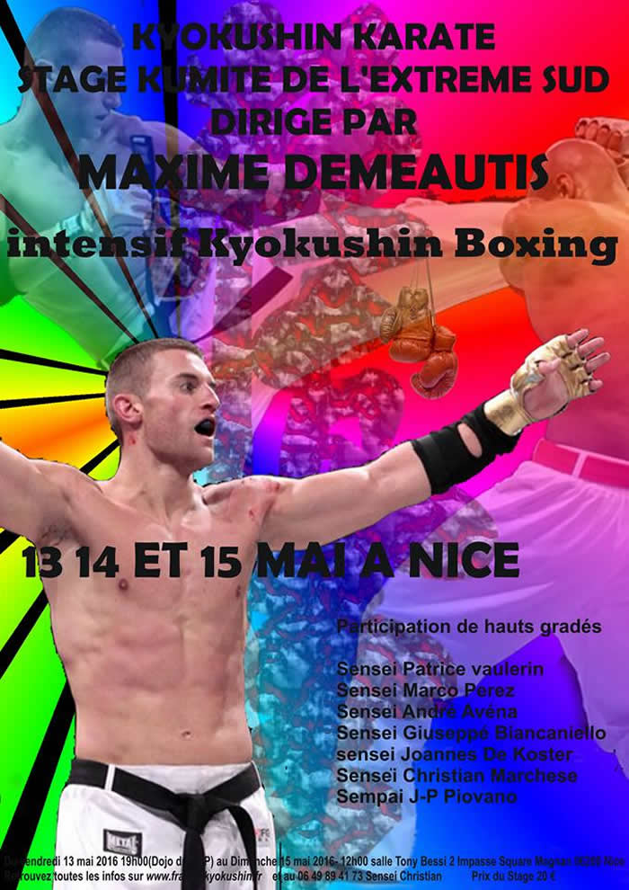 Stage Kyokushinkai combat avec Maxime DEMEAUTIS à Nice