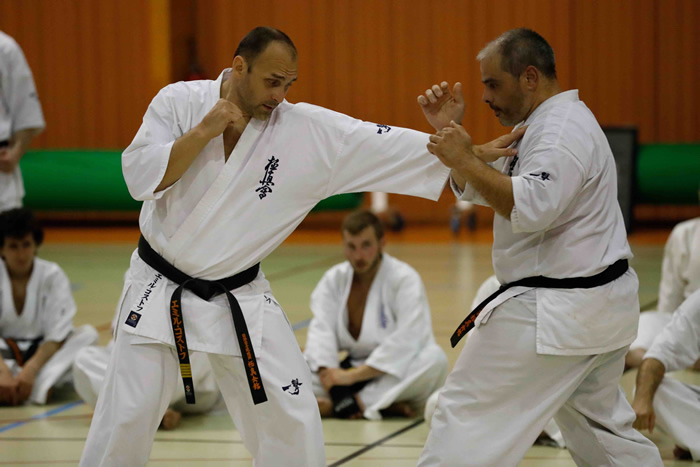 Stage national France Kyokushin 2016