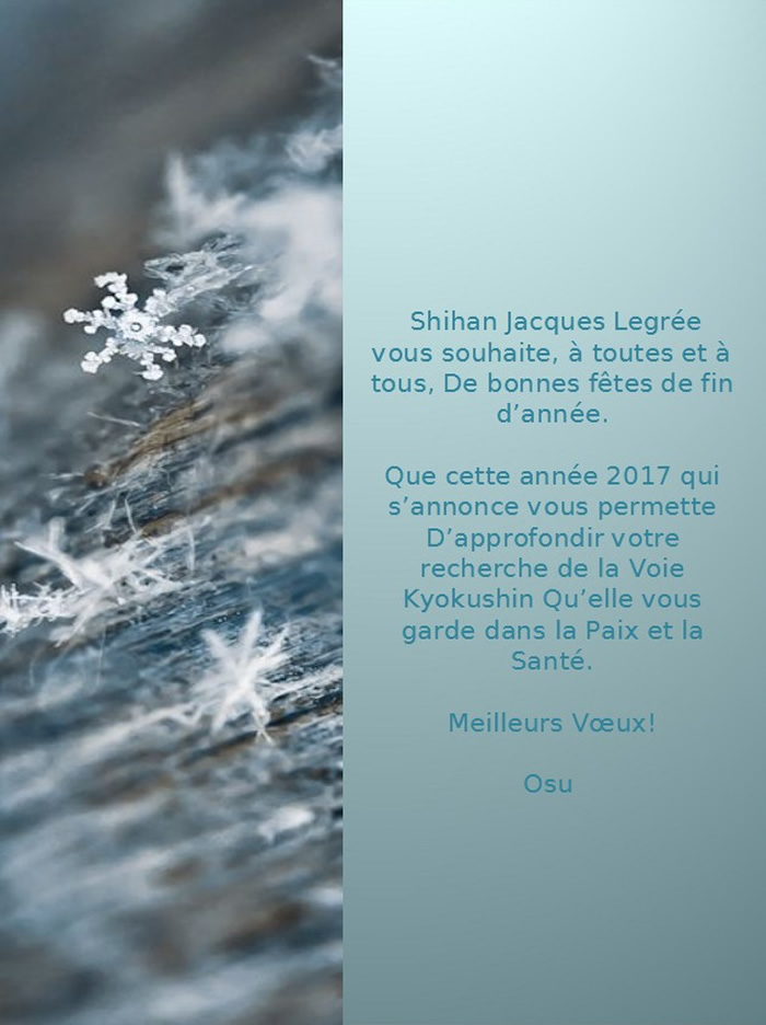 Que cette année 2017 qui s’annonce vous permette D’approfondir votre recherche de la Voie Kyokushin Qu’elle vous garde dans la Paix et la Santé