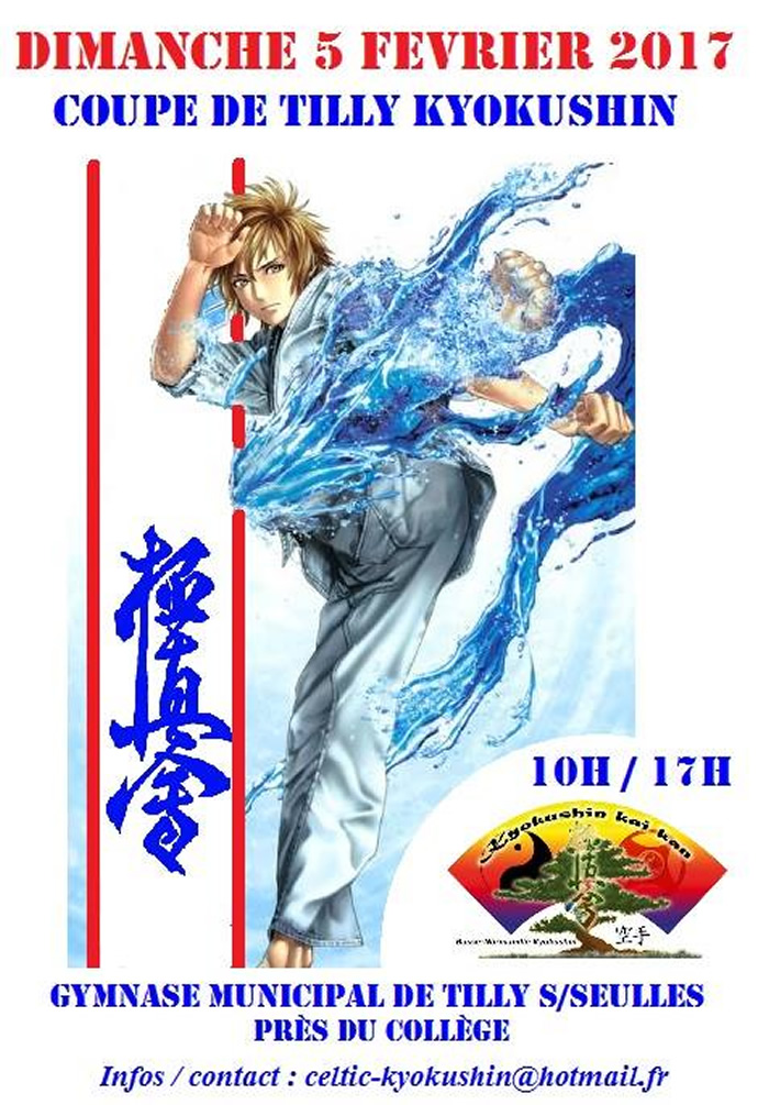 Coupe de Tilly kyokushin 2017