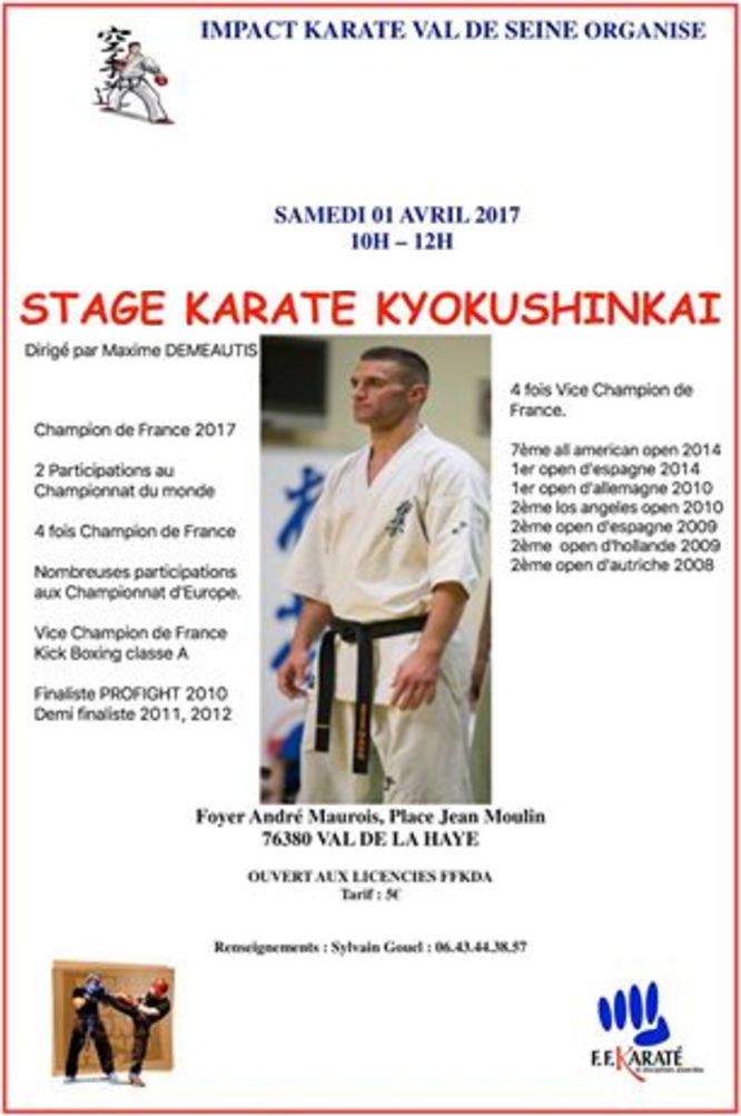 Stage avec Maxime Demeautis
