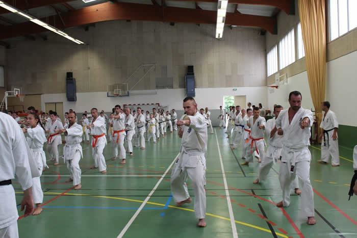 Passage de grades zone sud 2017 ido geiko