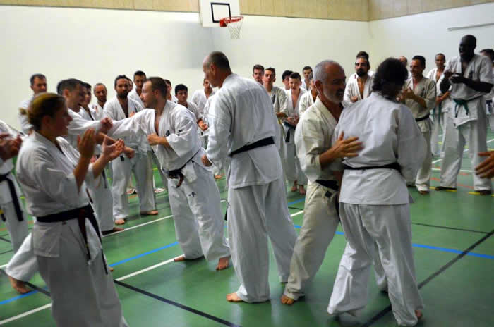 Passage de grades zone sud 2017 kumite pour le 2e dan