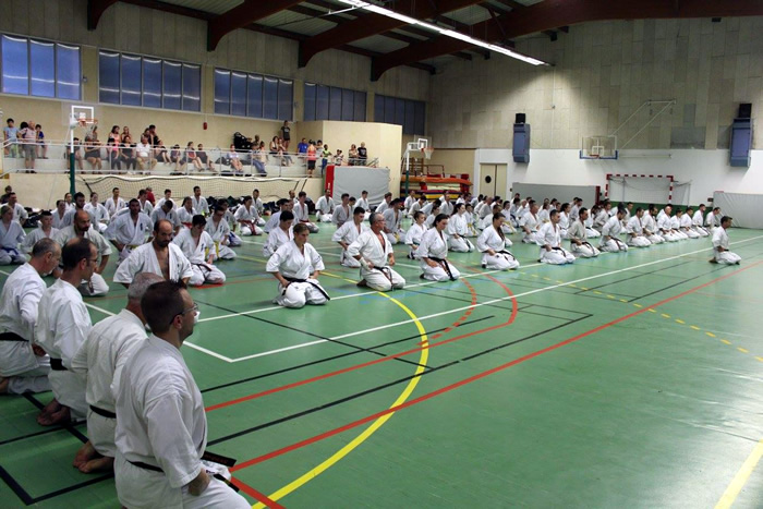 Passage de grades zone sud 2017 seeza