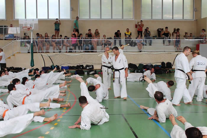 Passage de grades zone sud 2017 épreuve physique