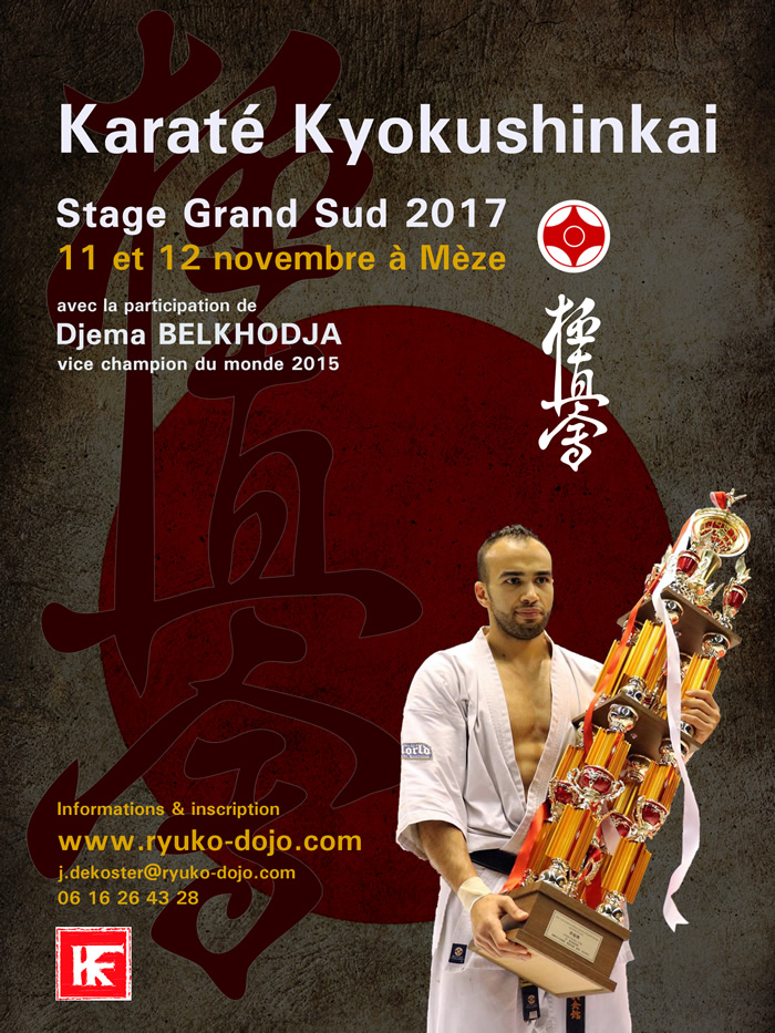 Stage de karaté Kyokushinkai "Grand Sud