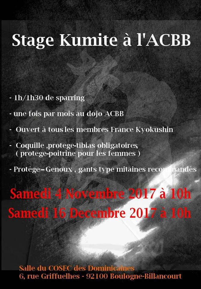 Stage kumite à l'ACBB avec Antonio TUSSEAU