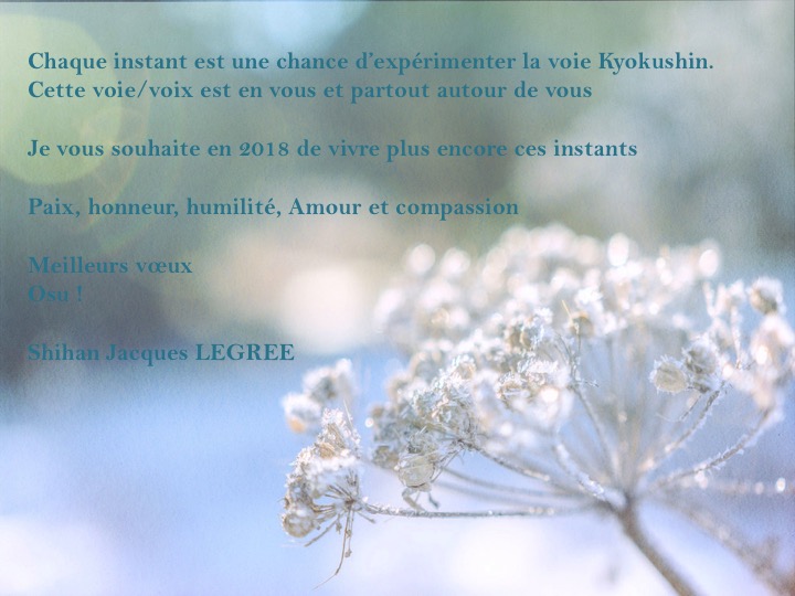 Voeux de shihan Jacques Legrée pour 2018
