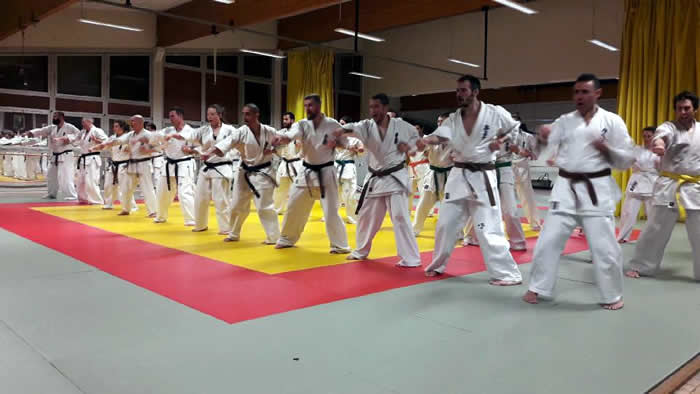 Master Class de karaté Kyokushinkai à Corenc