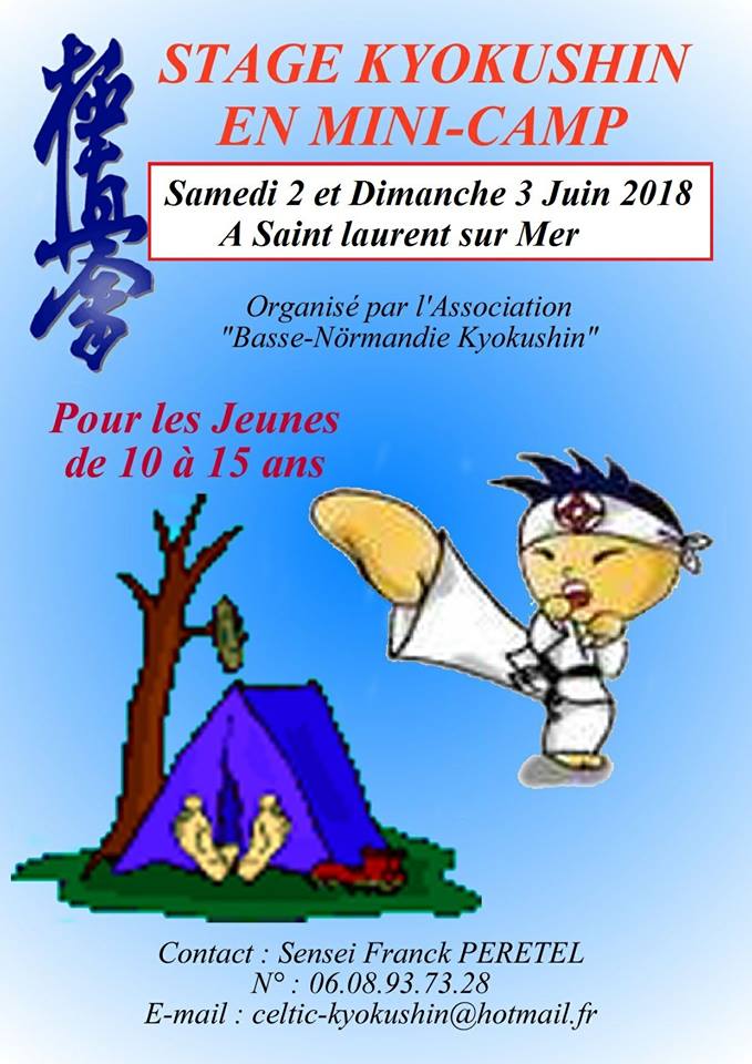 Stage Kyokushin en mini camp