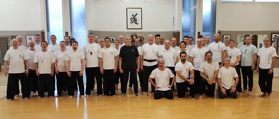 Stage Taikiken avec maitre Kallenbach et McDonagh à l'ACBB