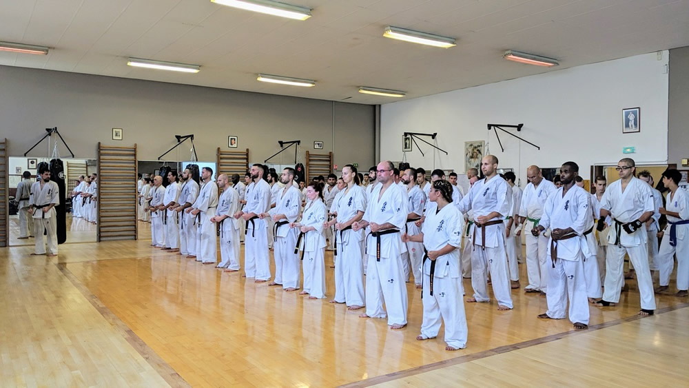 Stage combat avec Antonio TUSSEAU à l'ACBB