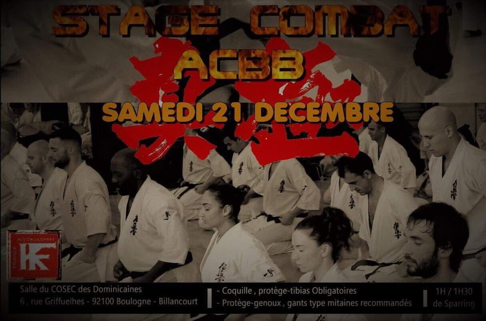 Stage combat avec Antonio TUSSEAU au dojo ACBB