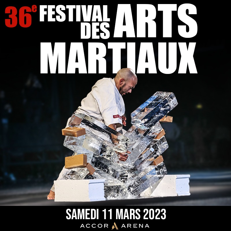 Festival des arts martiaux à Bercy 2023