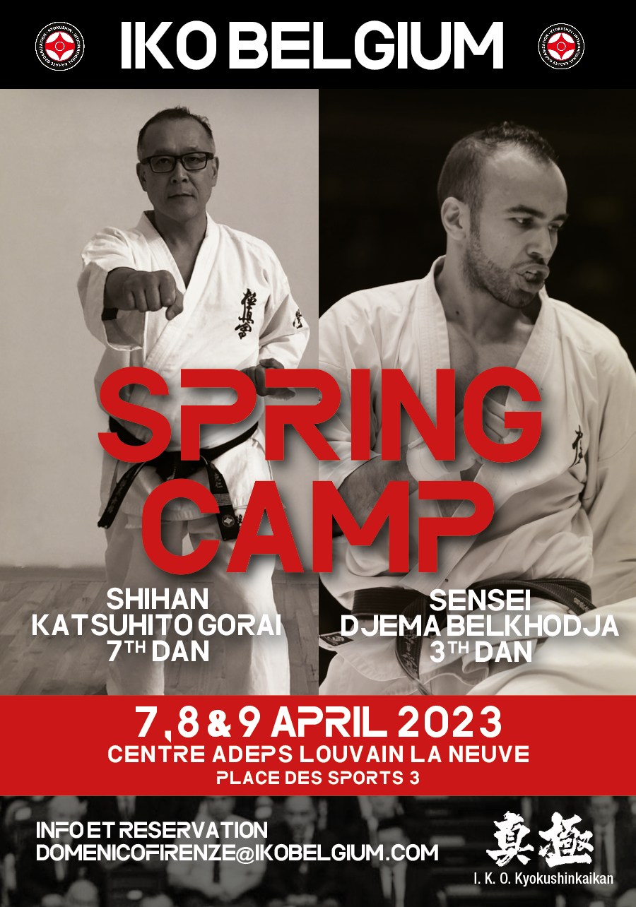 Stage de printemps en Belgique _ karaté Kyokushinkai