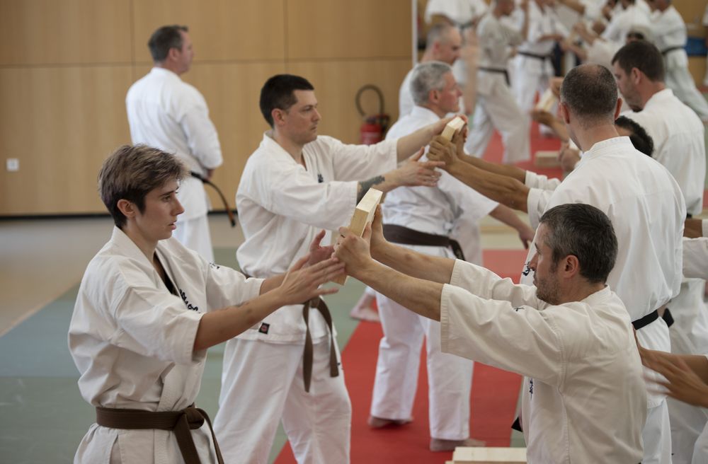 Stage national France Kyokushin 2023