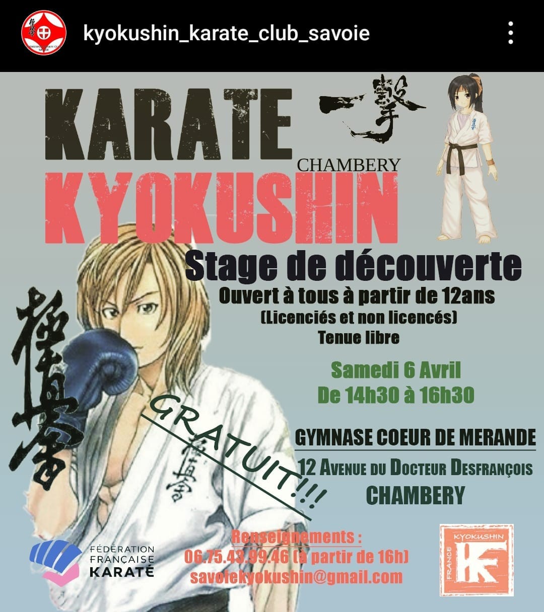 Stage de découverte du karaté Kyokushinkai à Chambery