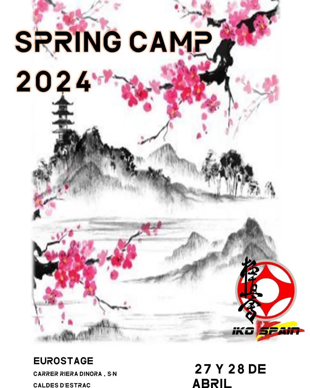 Stage de printemps en Espagne - karaté Kyokushinkai
