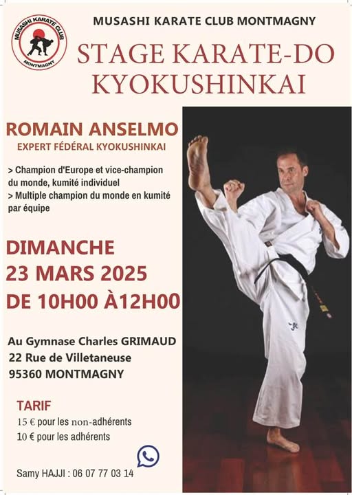 Stage de karaté Kyokushinkai à Montmagny avec sensei Anselmo
