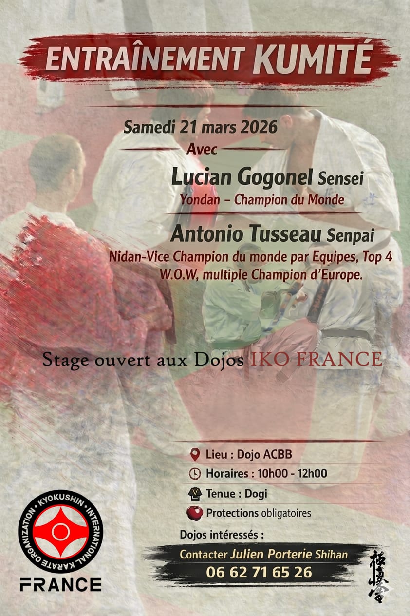 Entrainement kumite avec sensei Lucian Gogonel