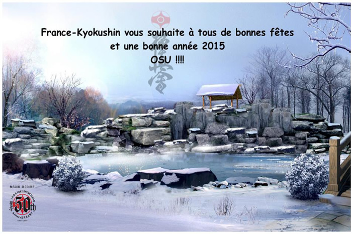Bonne année 2015!