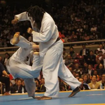 10e championnat du Monde 2011 — photo 3 sur 75