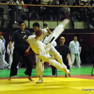 Coupe de France 2010 — photo 13 sur 72