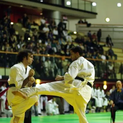 Coupe de France 2010 — photo 31 sur 72