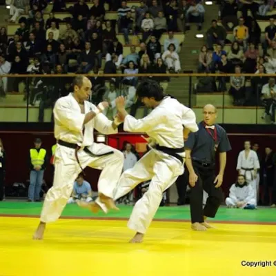 Coupe de France 2010 — photo 47 sur 72