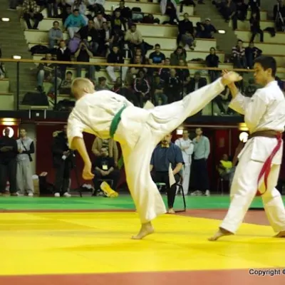 Coupe de France 2010 — photo 50 sur 72