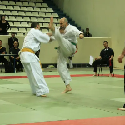 Coupe de France 2011 — photo 8 sur 27