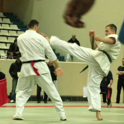 Coupe de France 2011 — photo 14 sur 27