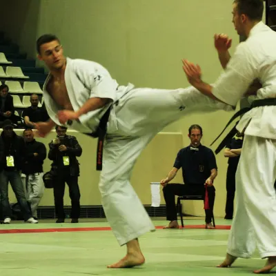 Coupe de France 2011 — photo 15 sur 27