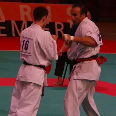 Gala des Arts Martiaux à Bercy 2011 — photo 18 sur 41