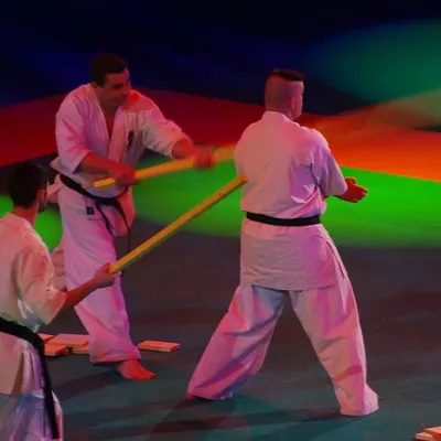 Gala des Arts Martiaux à Bercy 2011 — photo 32 sur 41