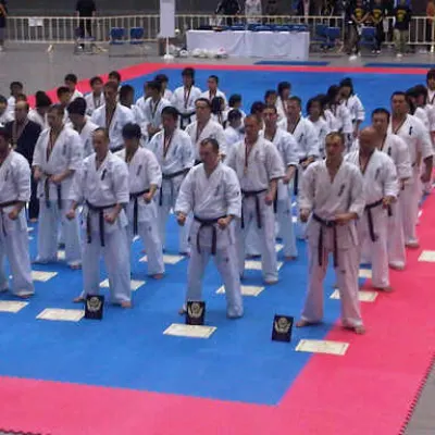 International Karate Friendship 2010 — photo 6 sur 7