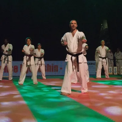 La nuit des Arts Martiaux 2016 — photo 3 sur 86