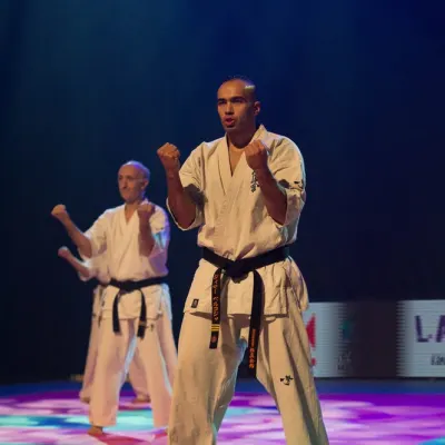 La nuit des Arts Martiaux 2016 — photo 4 sur 86