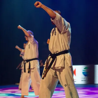 La nuit des Arts Martiaux 2016 — photo 7 sur 86