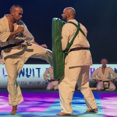 La nuit des Arts Martiaux 2016 — photo 15 sur 86