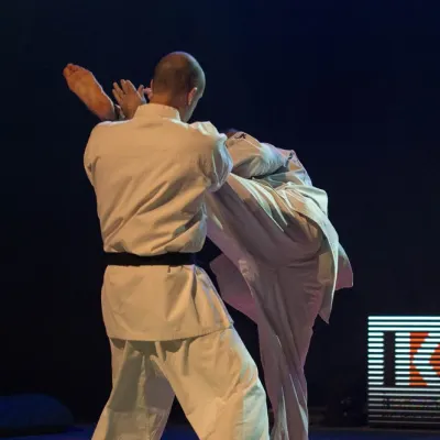 La nuit des Arts Martiaux 2016 — photo 25 sur 86