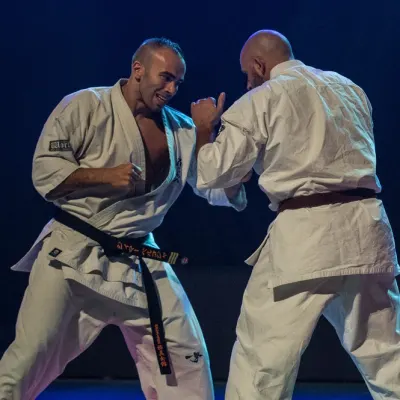 La nuit des Arts Martiaux 2016 — photo 27 sur 86