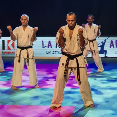 La nuit des Arts Martiaux 2016 — photo 29 sur 86