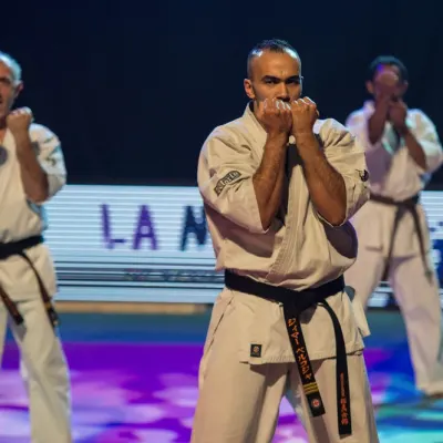 La nuit des Arts Martiaux 2016 — photo 30 sur 86