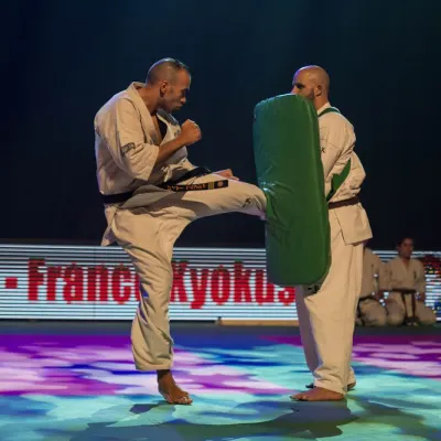 La nuit des Arts Martiaux 2016 — photo 50 sur 86