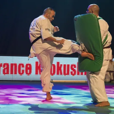 La nuit des Arts Martiaux 2016 — photo 51 sur 86