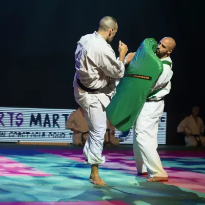 La nuit des Arts Martiaux 2016 — photo 53 sur 86