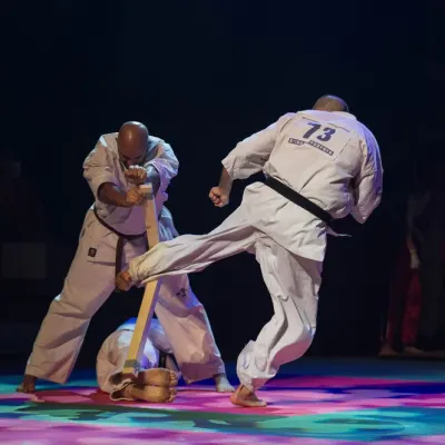 La nuit des Arts Martiaux 2016 — photo 61 sur 86